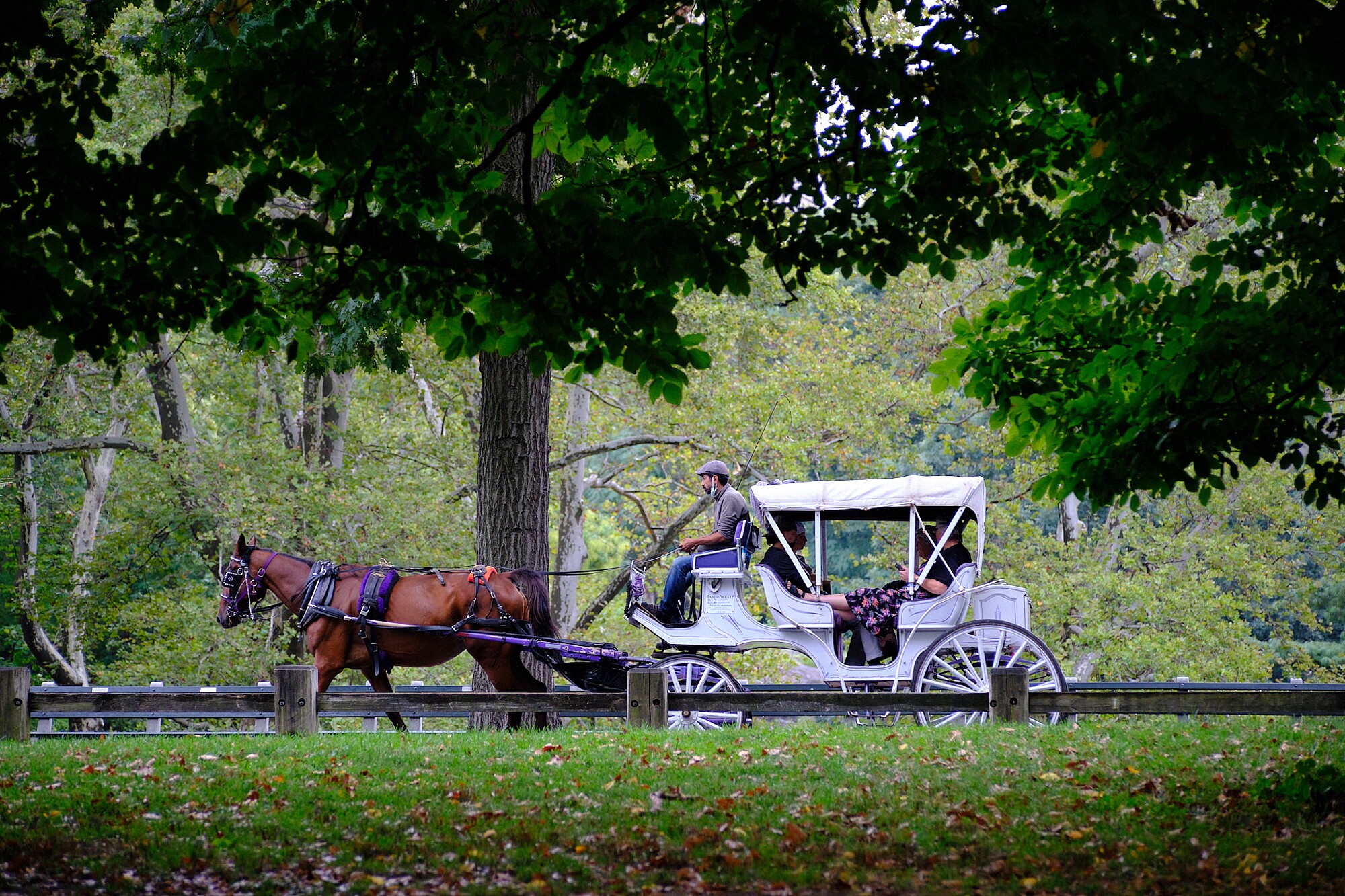 JVendrell-DSCF1267-736