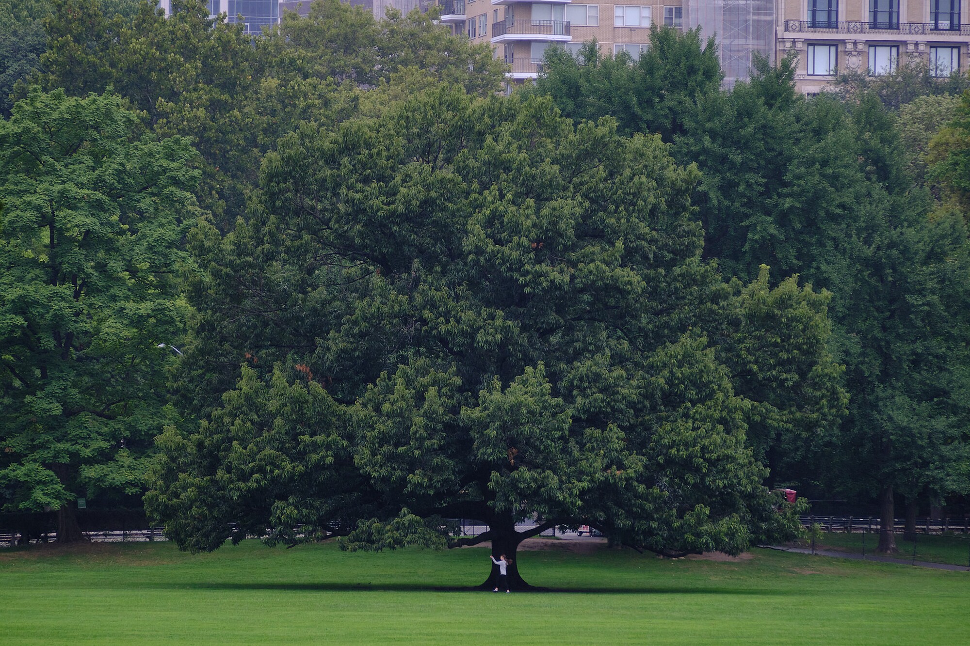 JVendrell-DSCF1340-738