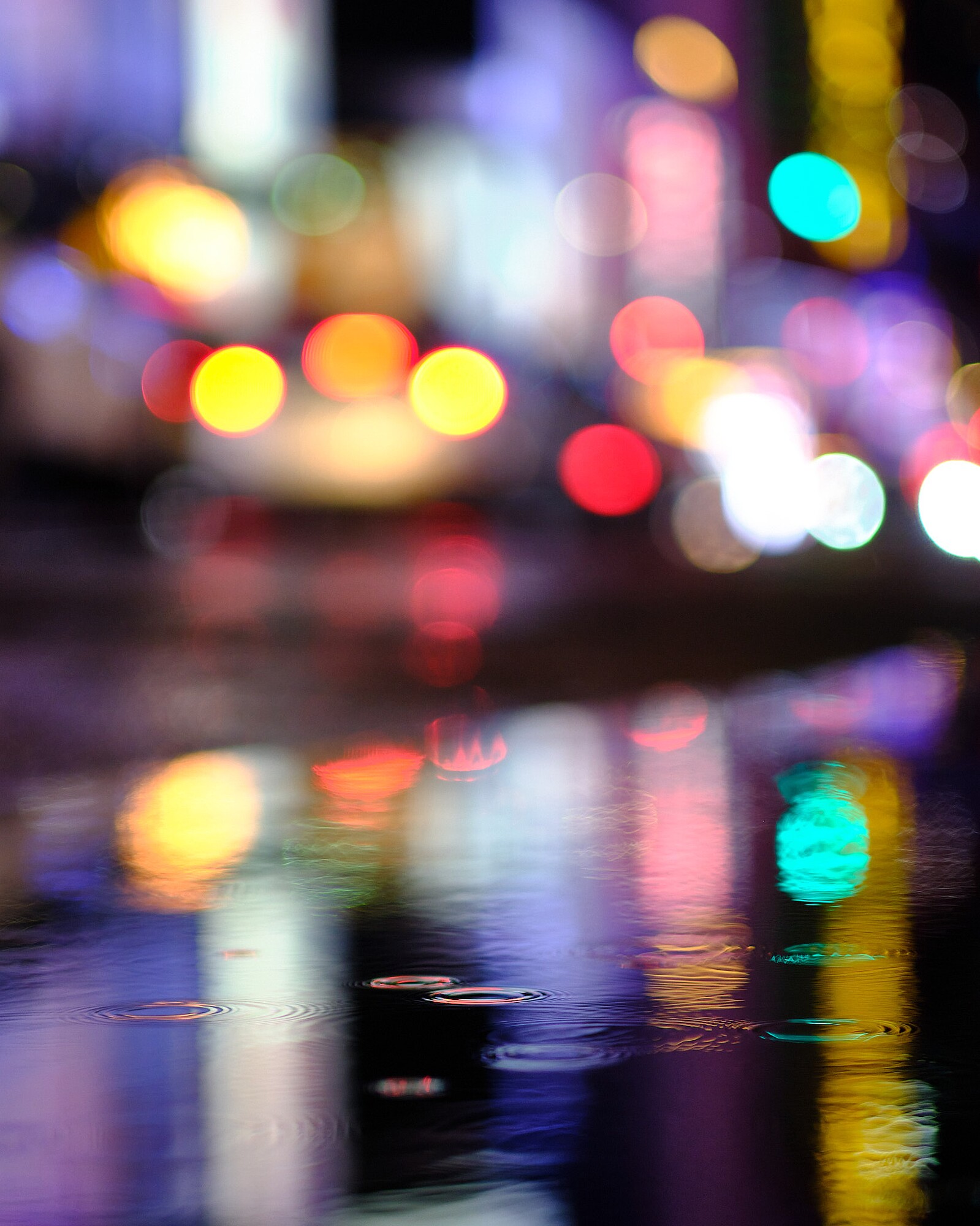 JVendrell-DSCF1439-741