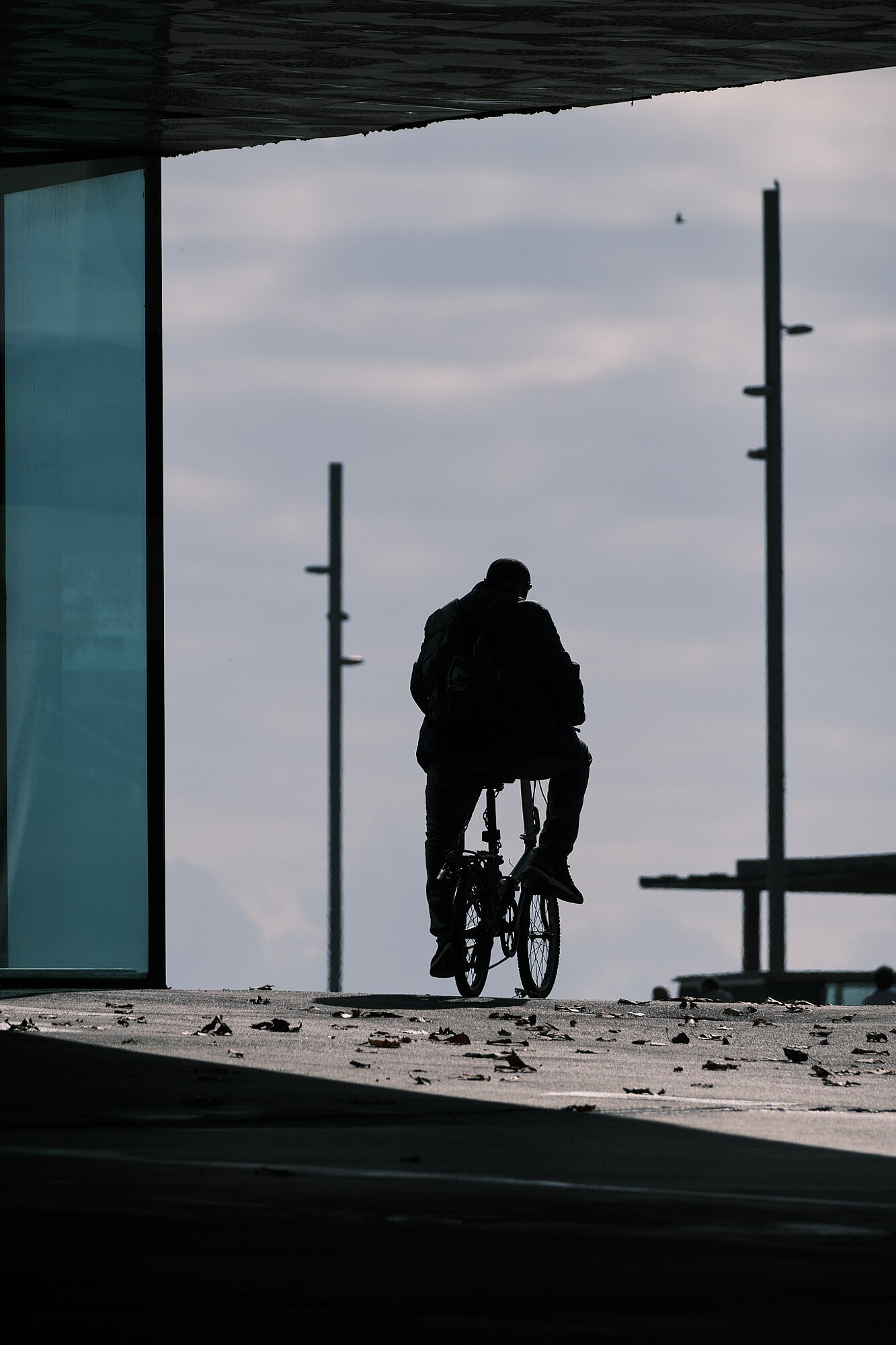 JVendrell-JVH21311-968